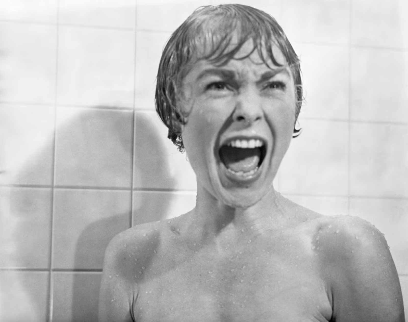 Janet Leigh screams during Psycho's iconic shower scene