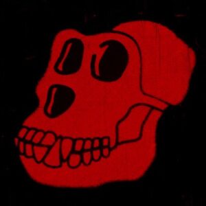 Current logo / icon