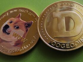 doge museum debuts dogeoss first nft marketplace on chikyu testnet In Brief: