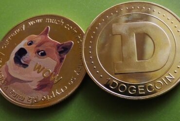 doge museum debuts dogeoss first nft marketplace on chikyu testnet In Brief:
