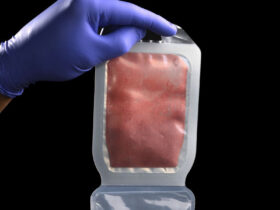 dried blood for the battlefield hybrid batteries and an openai engineer arrested by the fbi A US military helicopter was shot down in Iraq in February 2007 while flying blood to a field hospital, and all seven people on board died. Close to 20 years on, the Pentagon has committed $73 million to an effort meant to keep blood from ever needing that kind of rushed delivery again.