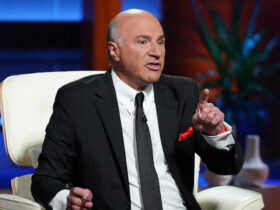 kevin oleary ranks stablecoins as the lowest risk corner of crypto The crypto asset Kevin O'Leary trusts most is one that hardly budges. According to the "Shark Tank" investor, stablecoins carry the least risk in the market at the moment, and he places them above Bitcoin (BTC) and all other tokens.