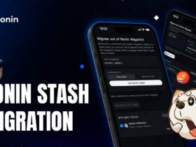 ronin waypoint wallet closes for good on oct 31 when last grace period expires In Brief: