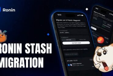 ronin waypoint wallet closes for good on oct 31 when last grace period expires In Brief: