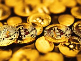 us treasury linked wallet shifts 1 billion in seized bitfinex hacker b A wallet that blockchain analytics platform Arkham tags as containing the Bitfinex hacker's seized Bitcoin transferred 12,267 BTC — roughly $1.01 billion — in a single transaction at 9:33 a.m. ET on Thursday. Almost the entire sum arrived at a fresh, unlabeled address, while 0.0012 BTC went separately to a second wallet.